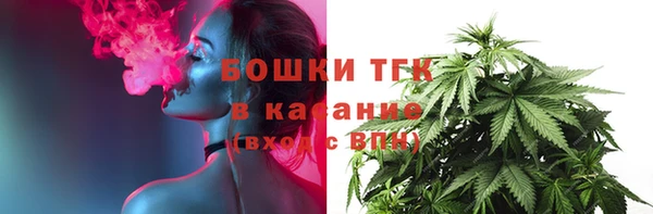 МДПВ Протвино