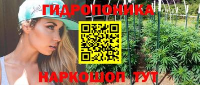 скорость Заволжье