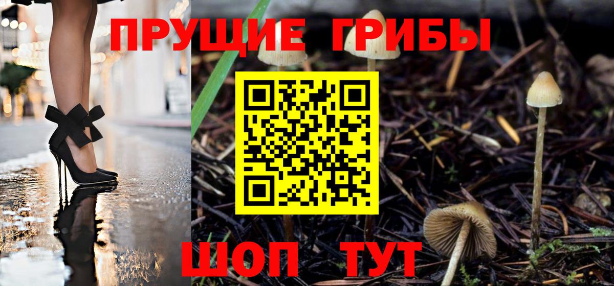 Псилоцибиновые грибы GOLDEN TEACHER  Псилоцибиновые грибы Psilocybine cubensis  Вход с VPN  Шадринск 