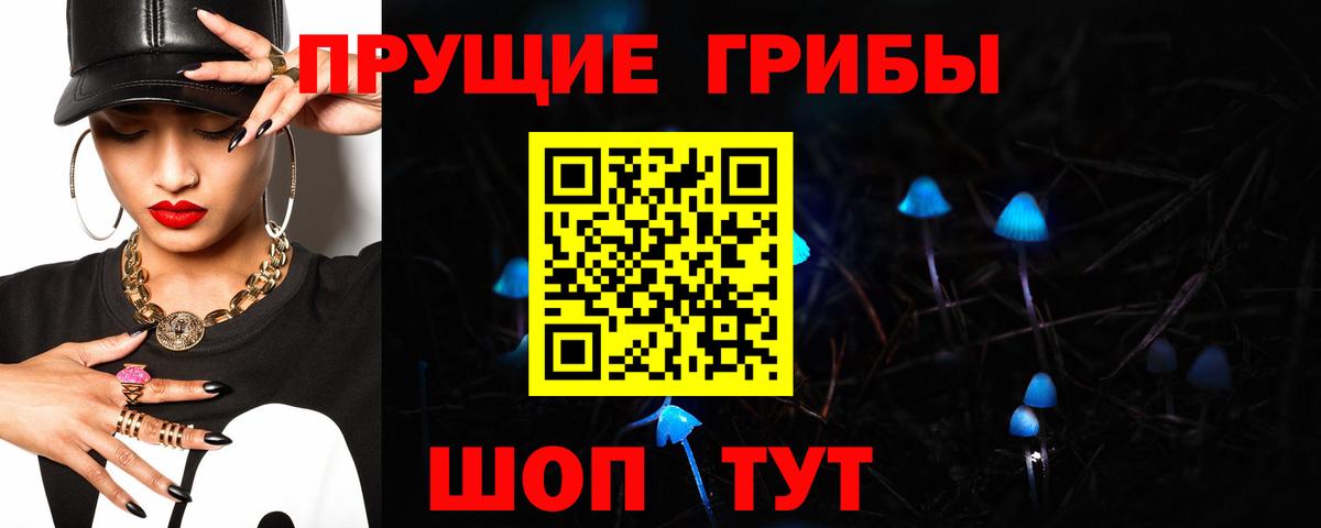 Псилоцибиновые грибы Psilocybine cubensis Шадринск