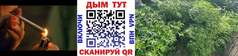 Бошки Шишки MAZAR  Шадринск 