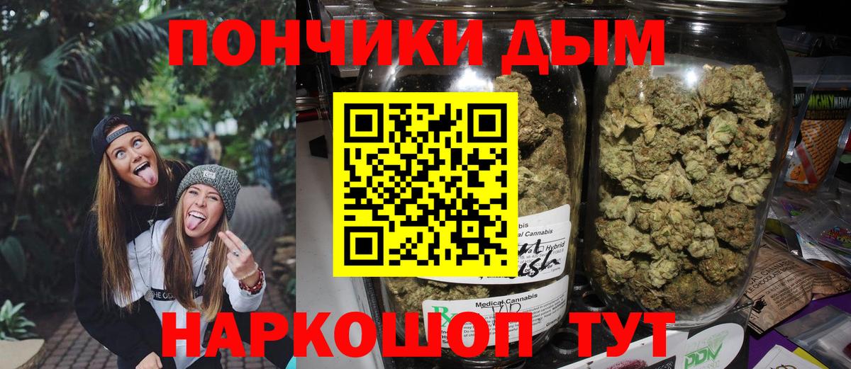 Шишки марихуана семена Шадринск
